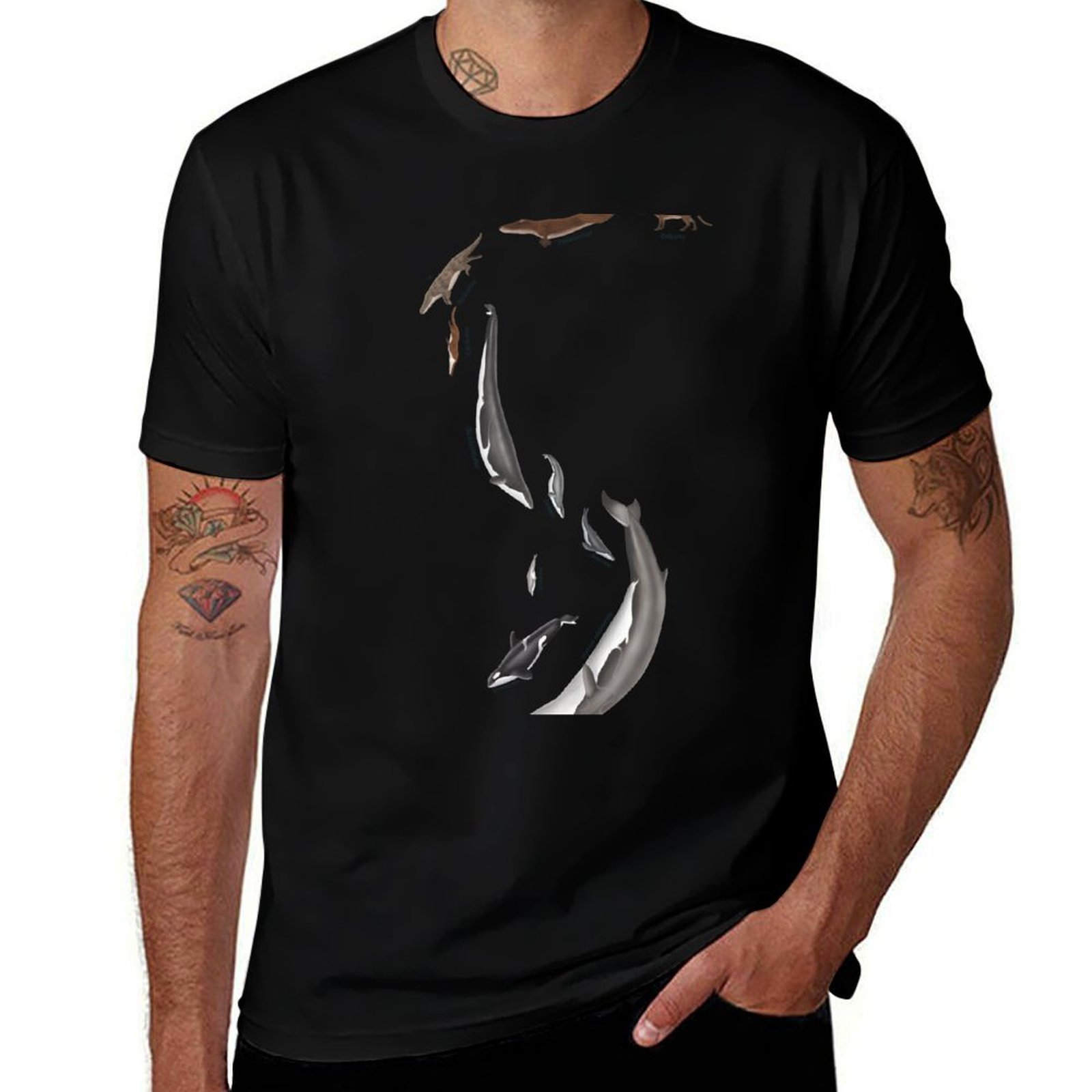 Whale evolution - prehistoric  - Street Fashion Evolution ulasan dan harga